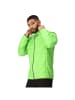 Regatta Steppjacke Hillpack in Grün