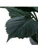 MCW Künstliche Hortensie Q86, Rosa
