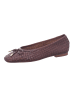 COPENHAGEN Slipper in braun