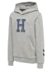 Hummel Hoodie Hmlgeography Hoodie in LIGHT GREY MELANGE