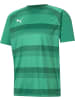 Puma Sportshirt "TeamVISION Jersey" in Grün