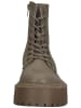 Steve Madden Stiefelette in Beige