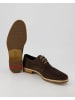 LLOYD Business Schuhe in Braun