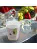 Mr. & Mrs. Panda Schnapsglas Avocado Tanzen ohne Spruch in Transparent