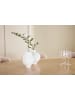 ebuy24 Essgruppe Strada (6-teilig) Whitewash 120 x 120 cm