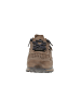 Cetti Sneaker low C-848 INV27 in Braun