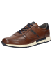 Sioux Sneaker Rojaro-700 in cognac