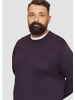 s.Oliver Strickpullover in 4868_aubergine