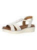 ara Sandalen in Cream