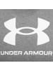 Under Armour Trainingskapuzenpullover Rival Fleece Logo in grau