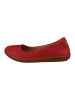 El Naturalista Ballerinas rot