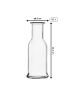 Stölzle 2er Set Karaffen Purity 500 ml in transparent