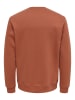 ONLY & SONS Sweatshirt in Sequoia