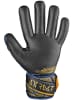 Reusch Torwarthandschuh Attrakt Gold X NC in 4411 premium blue/gold/black