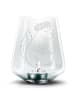 Mr. & Mrs. Panda Windlicht Glas Stinktier  ohne Spruch in Transparent