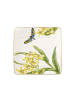 Villeroy & Boch Frühstücksteller Amazonia 23 x 23 cm in bunt