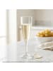 Bormioli Rocco 24er Set Sektkelche geeicht Prosecco 0,1 l in transparent
