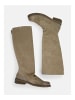 Felmini Stiefel GREDO in Grau/Braun