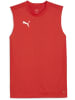 Puma T-Shirt "TeamFinal Training Jersey SL" in Rot