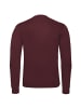 Champion Sweatshirt Crewneck in rot