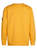 Petrol Industries Grafischer Pullover Allegheny in Gelb