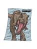Herding Fleecedecke Jurassic World Dino 130x170cm in Hellblau