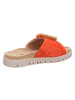 Gabor Pantoletten für Damen in orange
