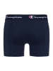 Champion Boxershorts 2pk Boxer in Navy