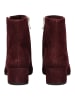 Marco Tozzi Stiefelette in Dunkelrot