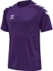 Hummel Hummel T-Shirt Hmlcore Multisport Kinder Schnelltrocknend in ACAI/WHITE