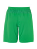uhlsport  Shorts PERFORMANCE SHORTS in grün/weiß