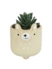 Butlers Mini-Blumentopf OLLI Bären 8er-Set in Beige