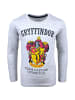 Harry Potter Langarmshirt Harry Potter Gryffindor in Grau
