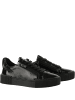 Högl Sneaker in schwarz