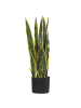 Beliani Kunstpflanze SNAKE PLANT in Grün/Schwarz - (W) 15 x (H) 63 x (L) 15 cm