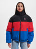 Tommy Hilfiger Winterjacken in black