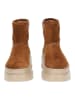 Paul Green Stiefelette in Toffee