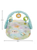 Fisher-Price Erlebnisdecke Traumbärchen in Mehrfarbig ab 0 Monate