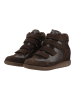 Steve Madden Stiefelette MUSTANG Braun