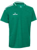 Derbystar Kinder Trikot "Trikot Kurzarm Primo V24" in Grün