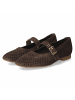 Paul Green Ballerina in brown