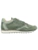 Cetti Sneaker in grün
