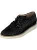 Allan K Sneaker für Damen in dunkel-blau