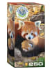 Eurographics Rote Pandas (Puzzle)