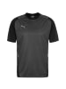 Puma Trainingsshirt TeamCUP in schwarz / anthrazit