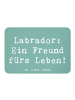 Mr. & Mrs. Panda Kühlschrankmagnet Spruch Labrador Freund mit Sp... in Meeresbrise