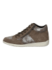 Geox Sneaker in Taupe