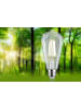 paulmann LED Eco-Line ST64 E27 840lm 4W 4000K klar 230V A