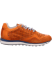 Cetti Sneaker in orange