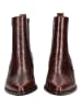 Paul Green Stiefelette in Cigar